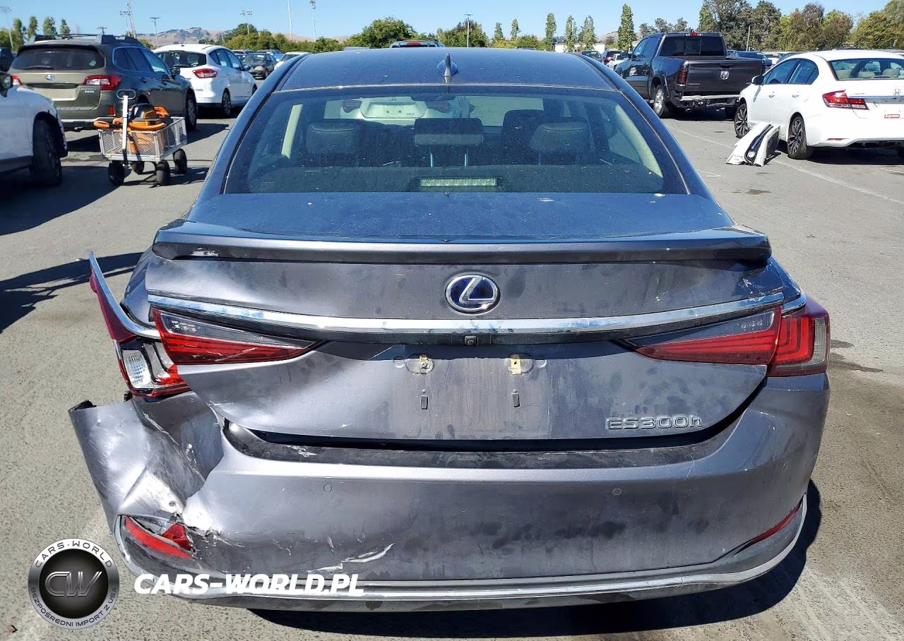 2019 Lexus Es 300H VIN:JTHB21B16K2040152 - 6