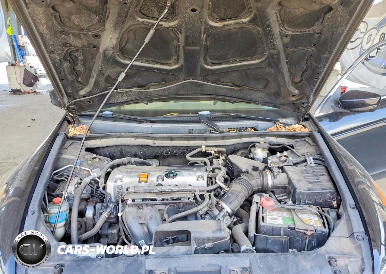 2010 Honda Accord Lx VIN:1HGCP2F3XAA121606 - 11