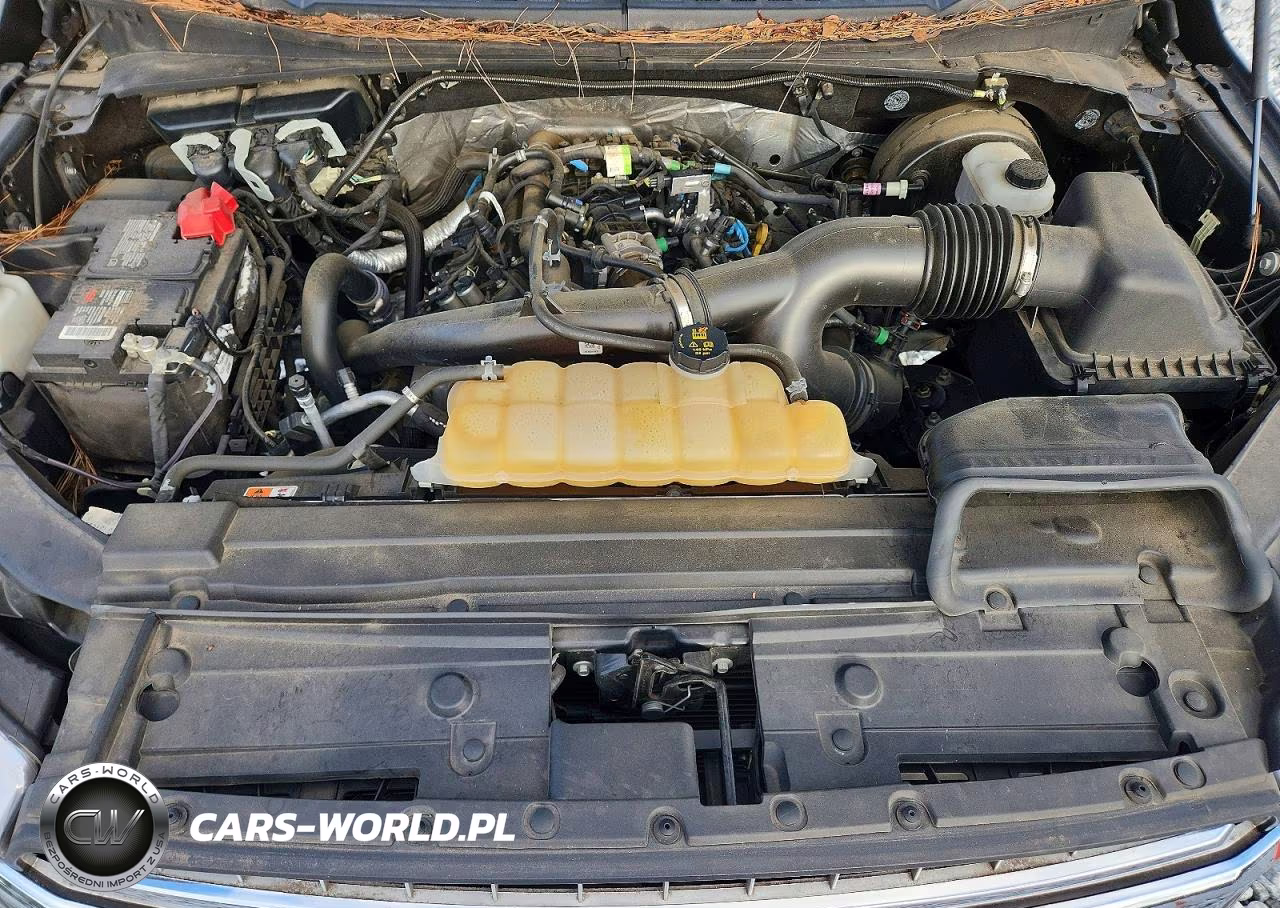 2019 Ford F150 Supercrew VIN:1FTEW1CP2KFA28501 - 11