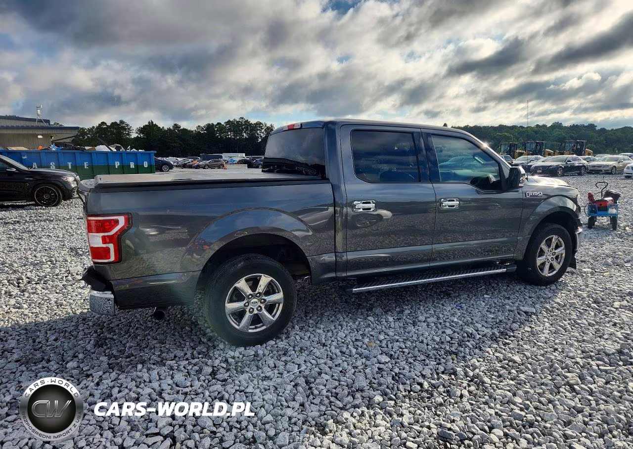 2019 Ford F150 Supercrew VIN:1FTEW1CP2KFA28501 - 3