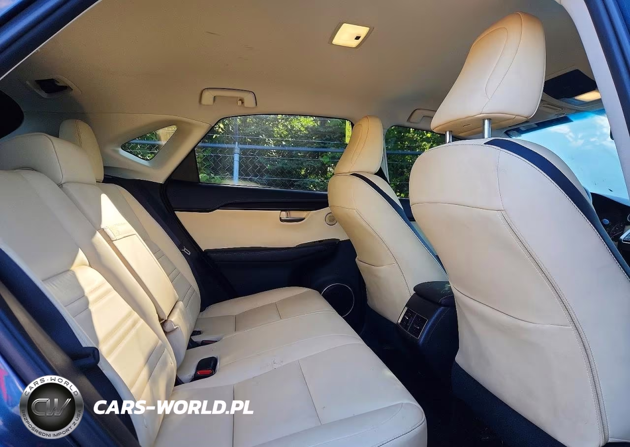 2015 Lexus Nx 200T VIN:JTJYARBZXF2015437 - 11
