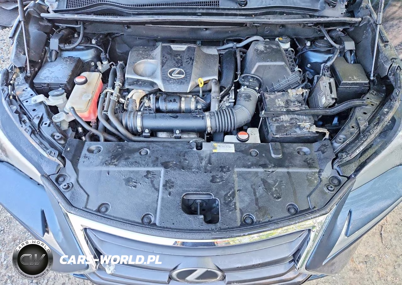 2015 Lexus Nx 200T VIN:JTJYARBZXF2015437 - 12