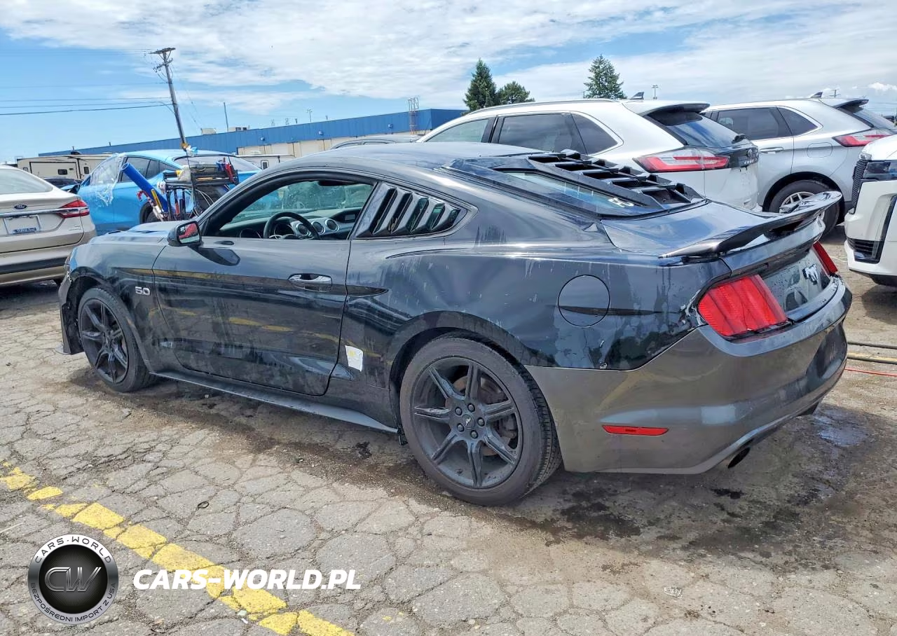 2015 Ford Mustang Gt VIN:1FA6P8CF8F5433782 - 2