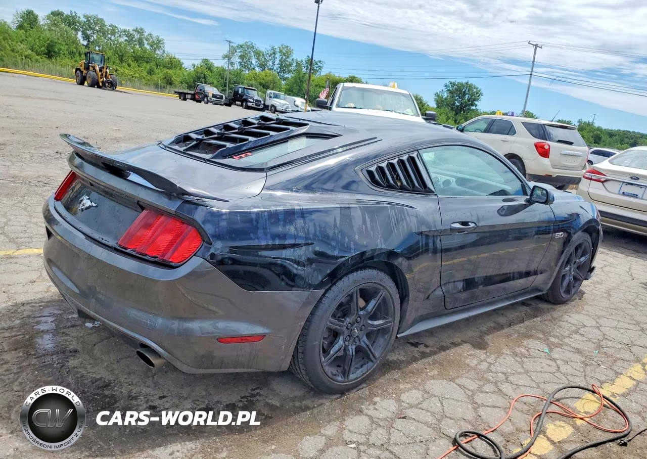 2015 Ford Mustang Gt VIN:1FA6P8CF8F5433782 - 3
