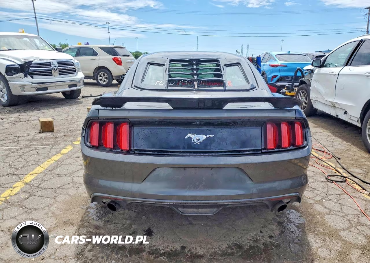 2015 Ford Mustang Gt VIN:1FA6P8CF8F5433782 - 6