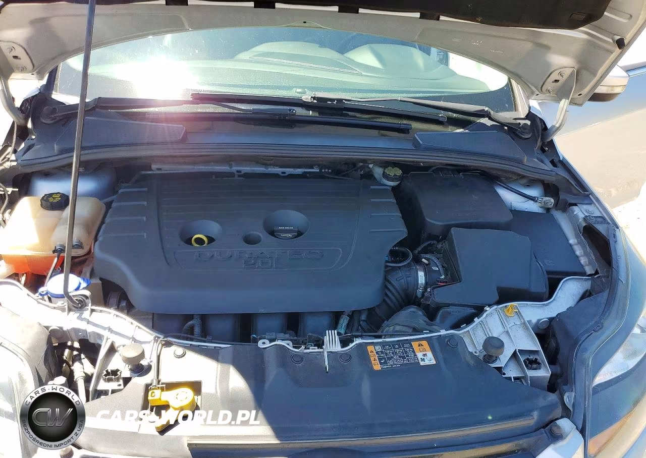 2014 Ford Focus Titanium VIN:1FADP3N20EL294987 - 12