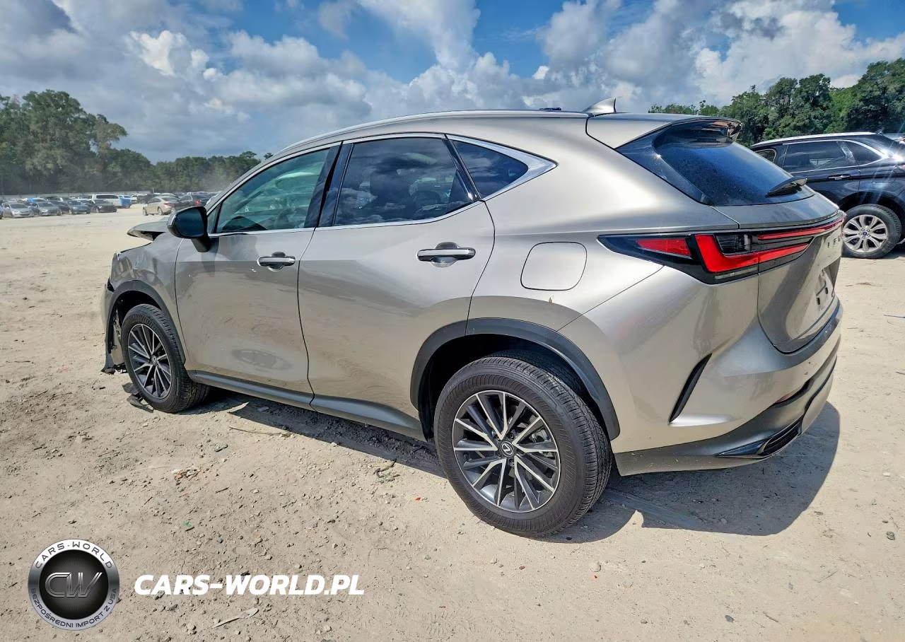 2024 Lexus Nx 250 Base VIN:2T2ADCAZ4RC012660 - 2