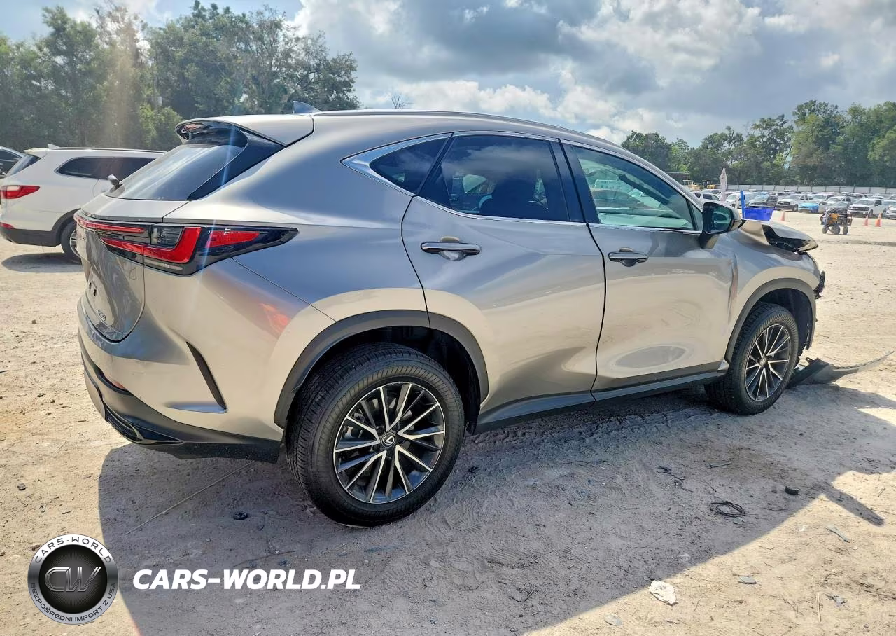 2024 Lexus Nx 250 Base VIN:2T2ADCAZ4RC012660 - 3