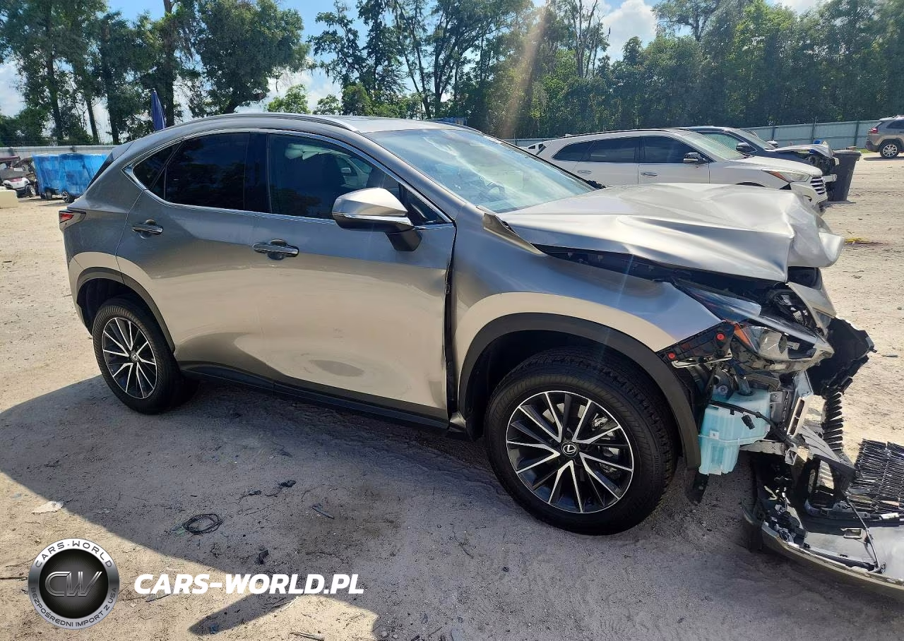 2024 Lexus Nx 250 Base VIN:2T2ADCAZ4RC012660 - 4