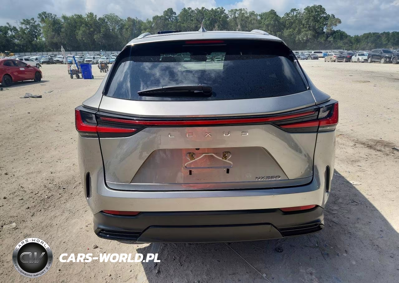 2024 Lexus Nx 250 Base VIN:2T2ADCAZ4RC012660 - 6