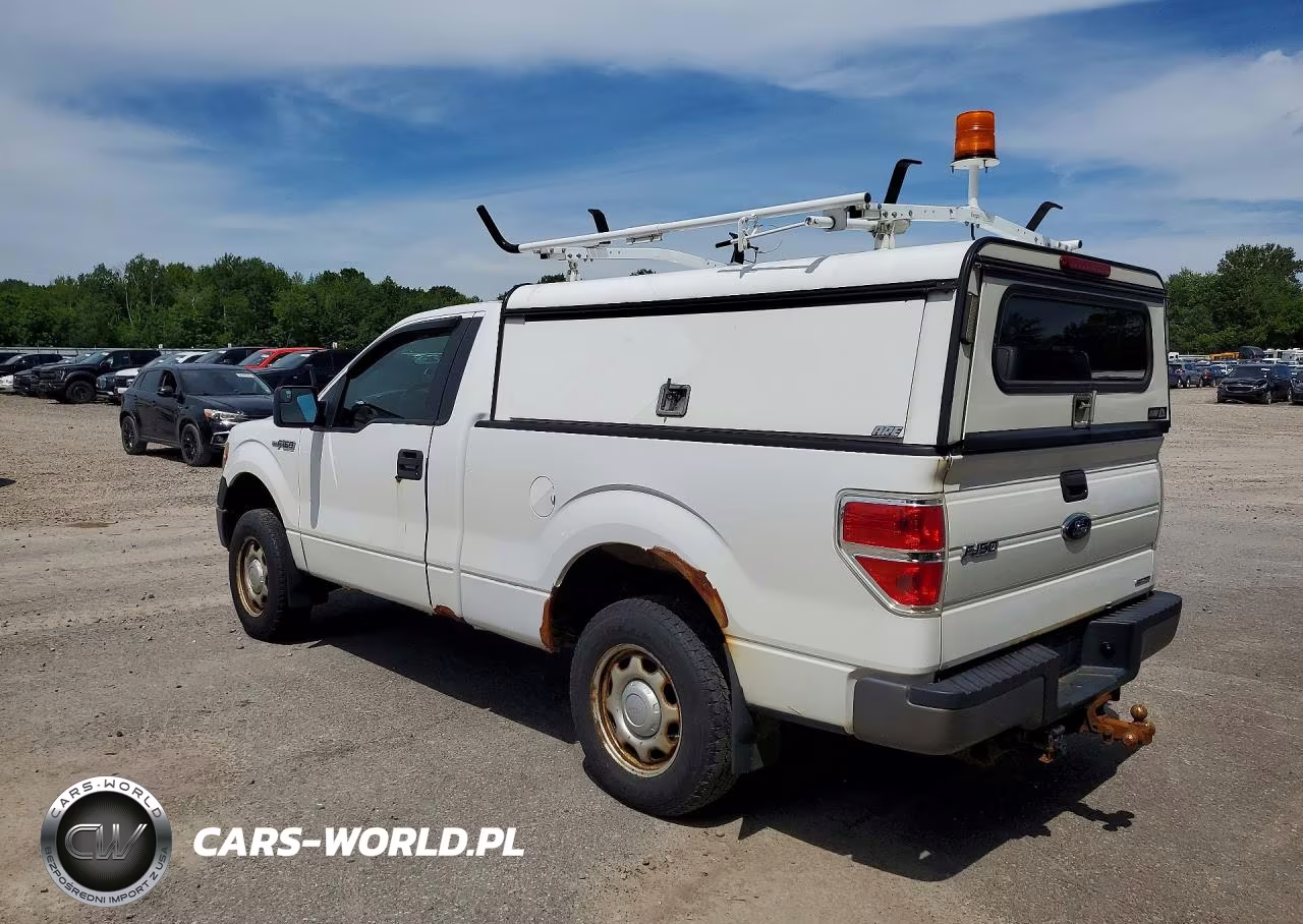 2013 Ford F150 VIN:1FTMF1EM1DFA39846 - 2
