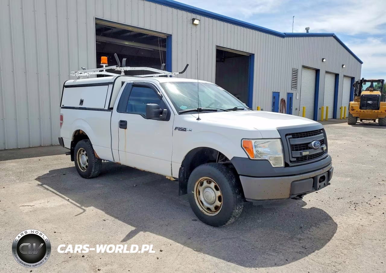2013 Ford F150 VIN:1FTMF1EM1DFA39846 - 4