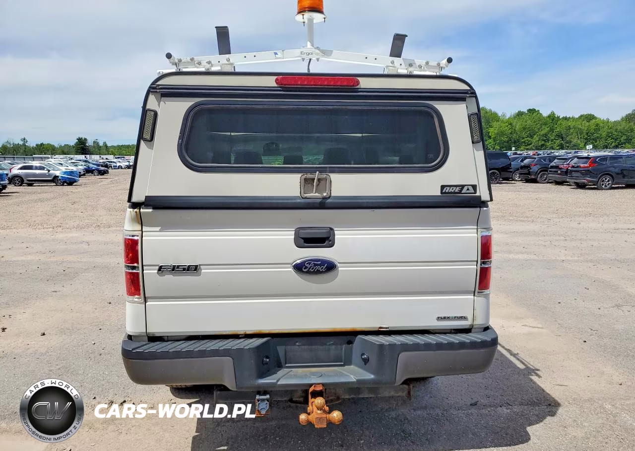 2013 Ford F150 VIN:1FTMF1EM1DFA39846 - 6