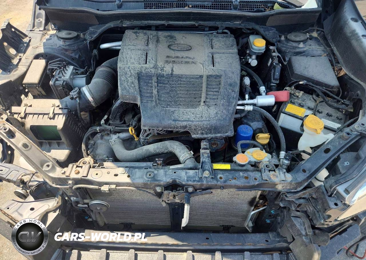 2019 Subaru Forester Premium VIN:JF2SKAGC8KH456312 - 11