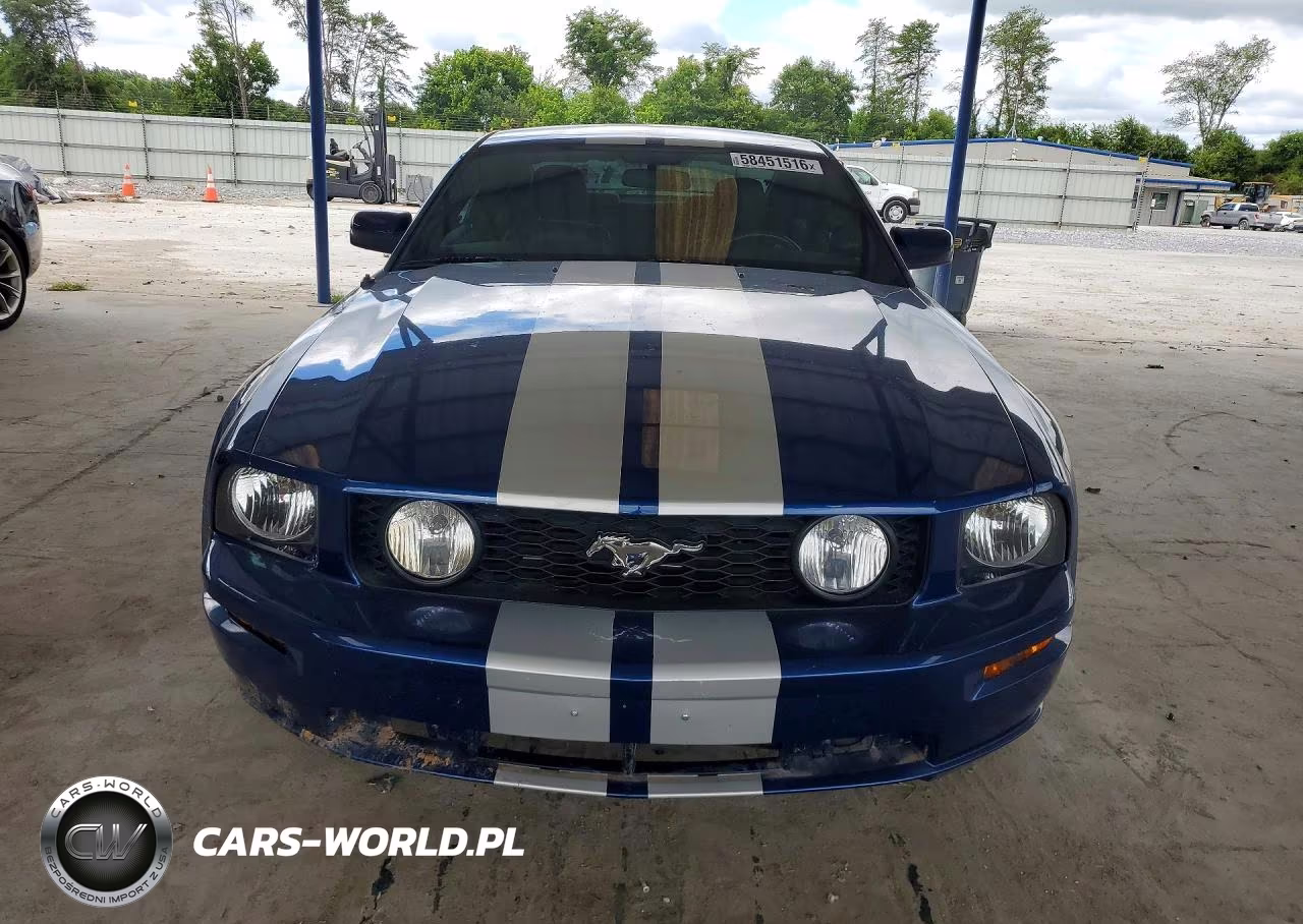 2007 Ford Mustang Gt VIN:1ZVHT82H075197628 - 5