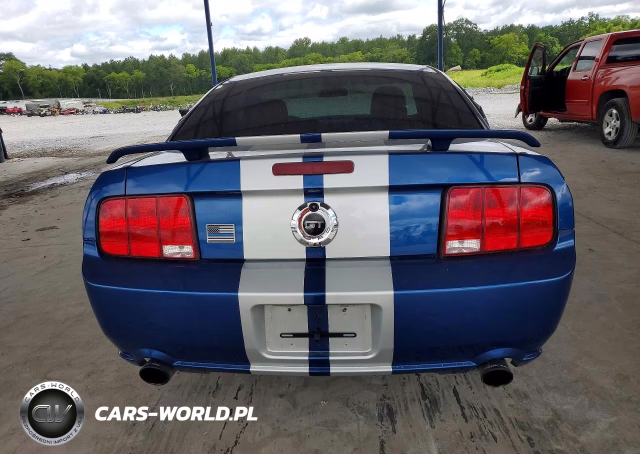2007 Ford Mustang Gt VIN:1ZVHT82H075197628 - 6
