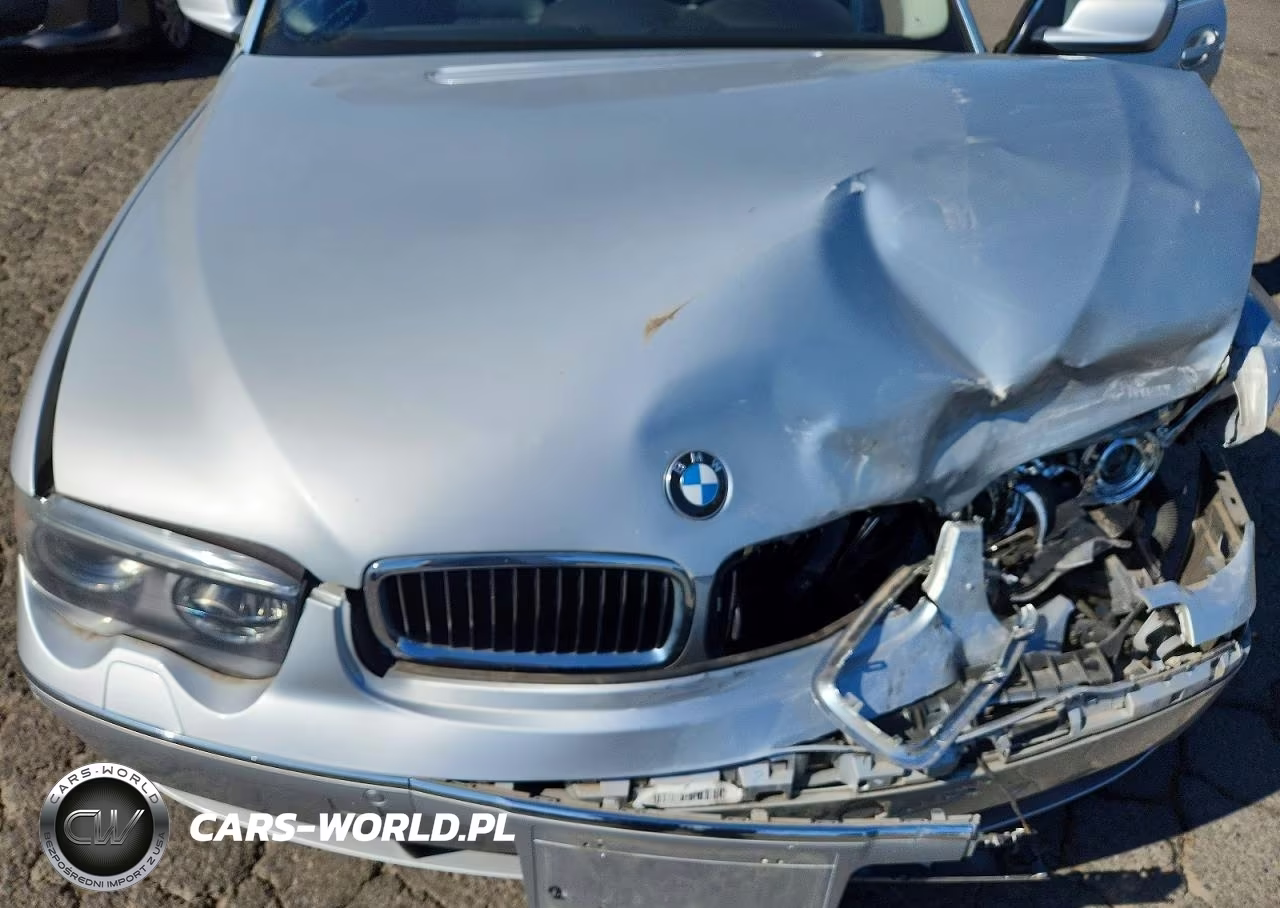 2003 BMW 745 Li VIN:WBAGN63473DR13110 - 11