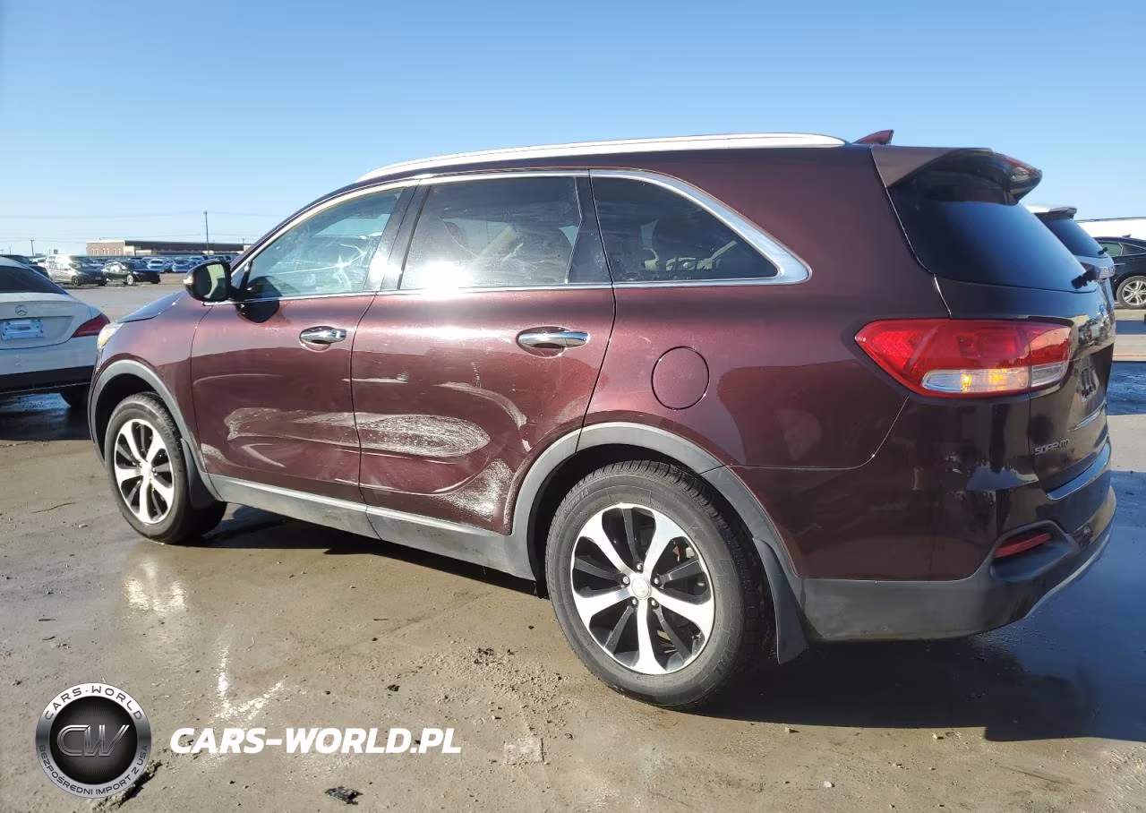 2016 Kia Sorento Ex VIN:5XYPH4A16GG022482 - 2