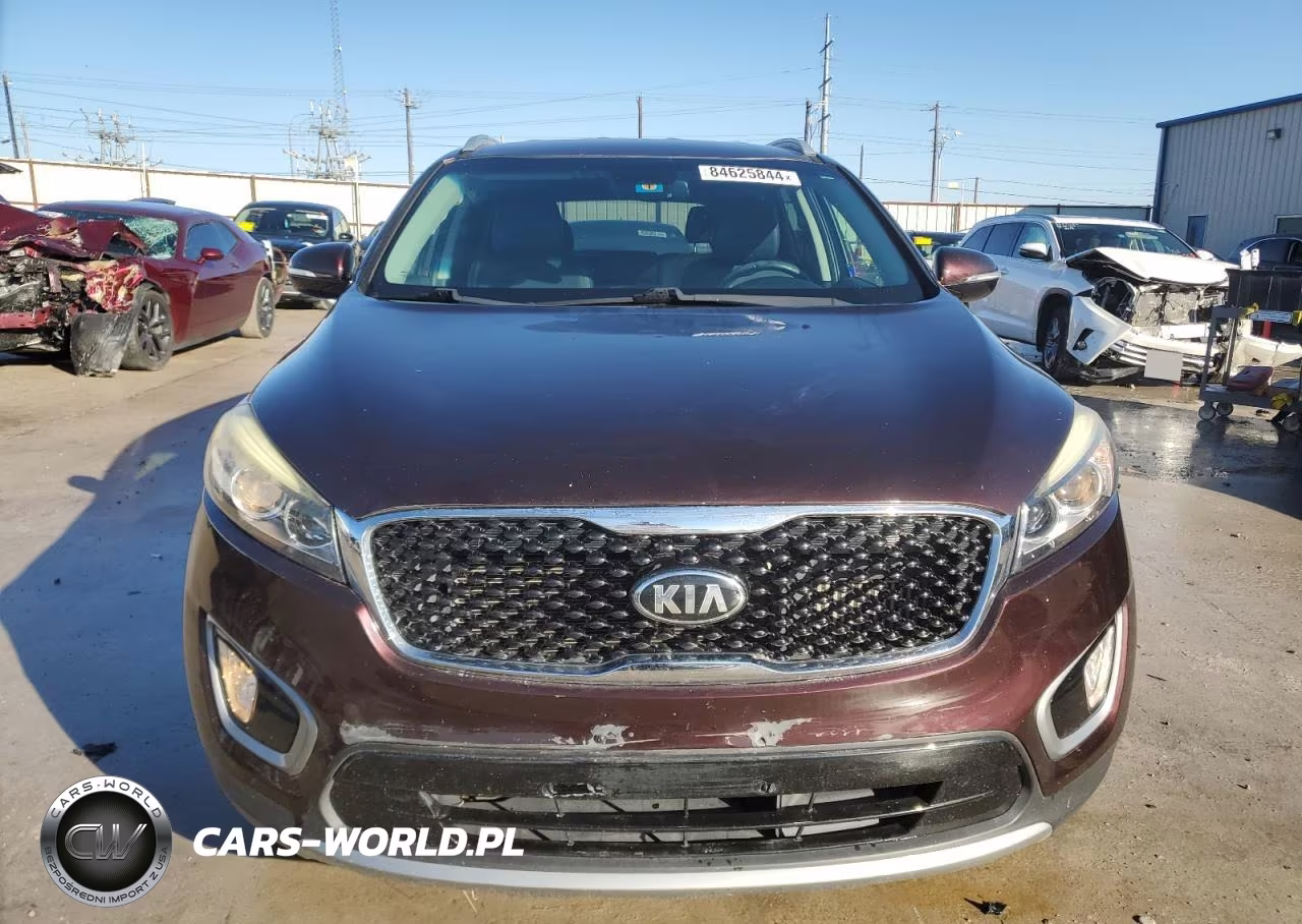 2016 Kia Sorento Ex VIN:5XYPH4A16GG022482 - 5