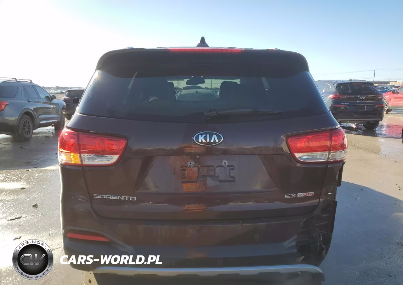 2016 Kia Sorento Ex VIN:5XYPH4A16GG022482 - 6