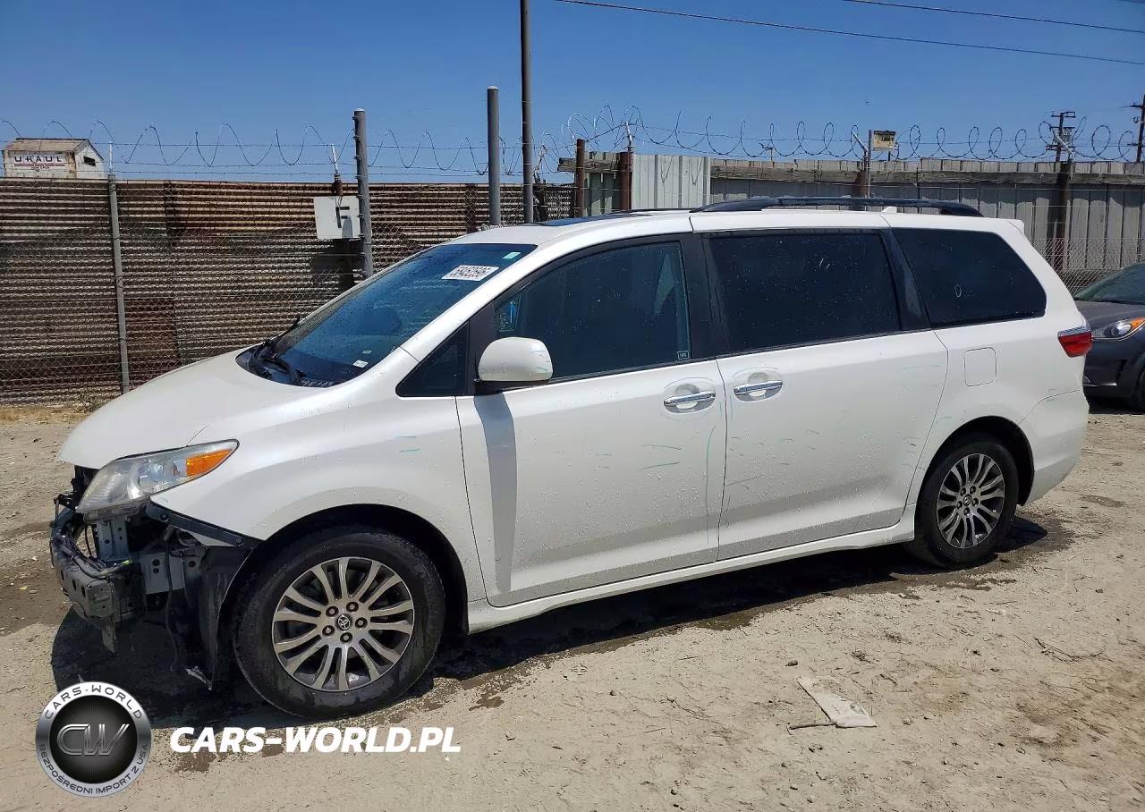 2019 Toyota Sienna Xle Premium 8-Passenger VIN:5TDYZ3DC2KS019387 - 1