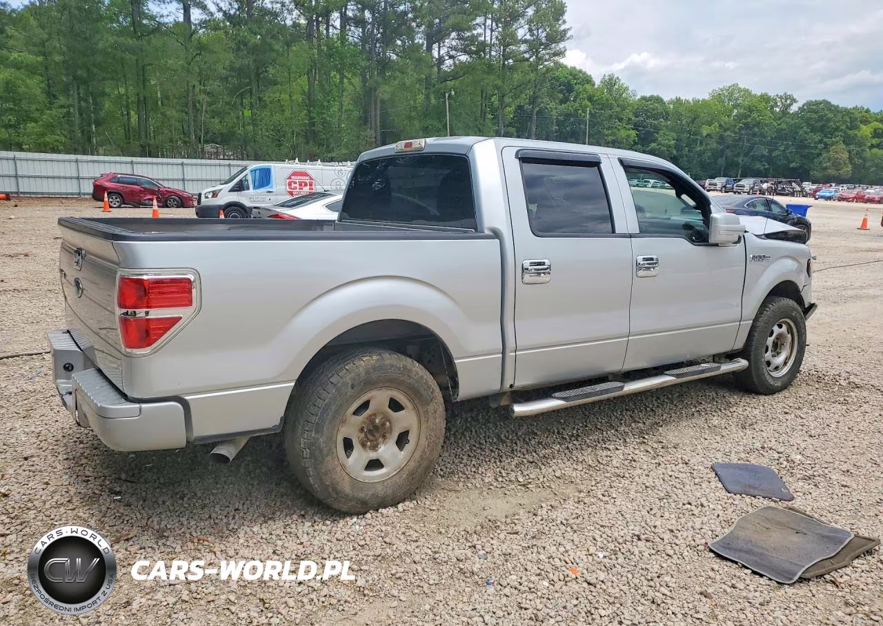 2010 Ford F150 Supercrew VIN:1FTEW1C88AFC11649 - 3