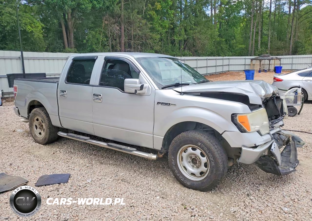 2010 Ford F150 Supercrew VIN:1FTEW1C88AFC11649 - 4