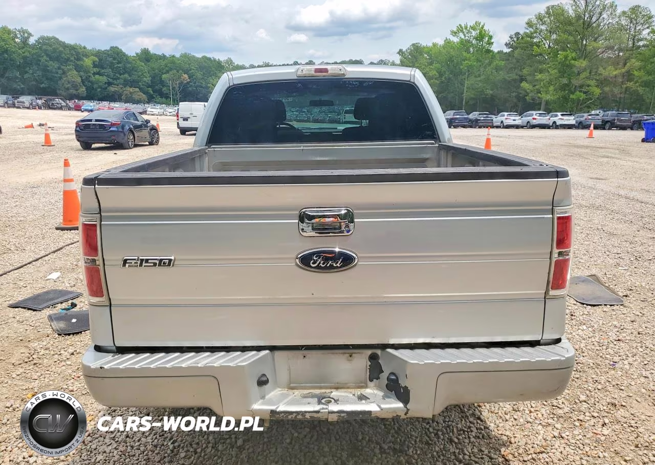2010 Ford F150 Supercrew VIN:1FTEW1C88AFC11649 - 6