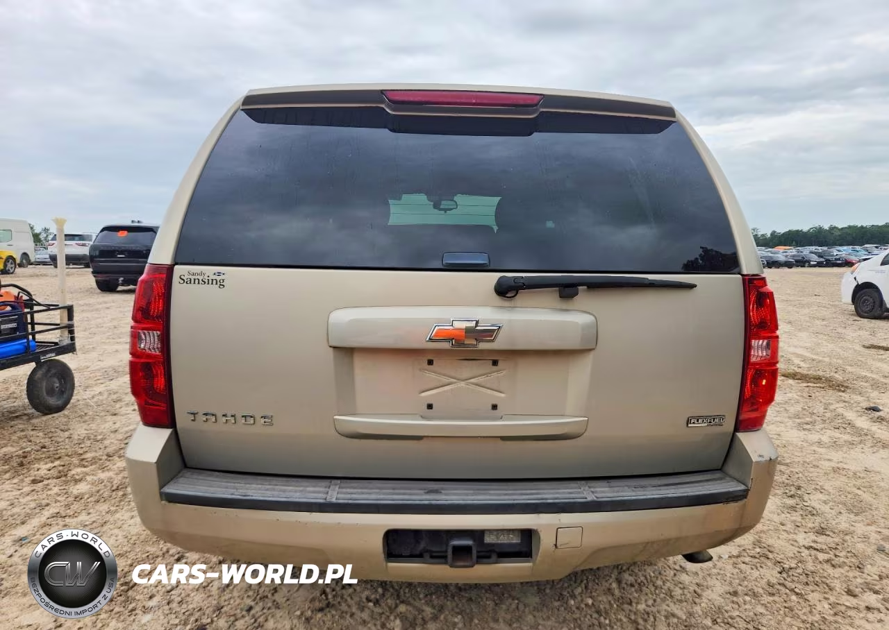 2010 Chevrolet Tahoe C1500 Ls VIN:1GNMCAE38AR214983 - 6