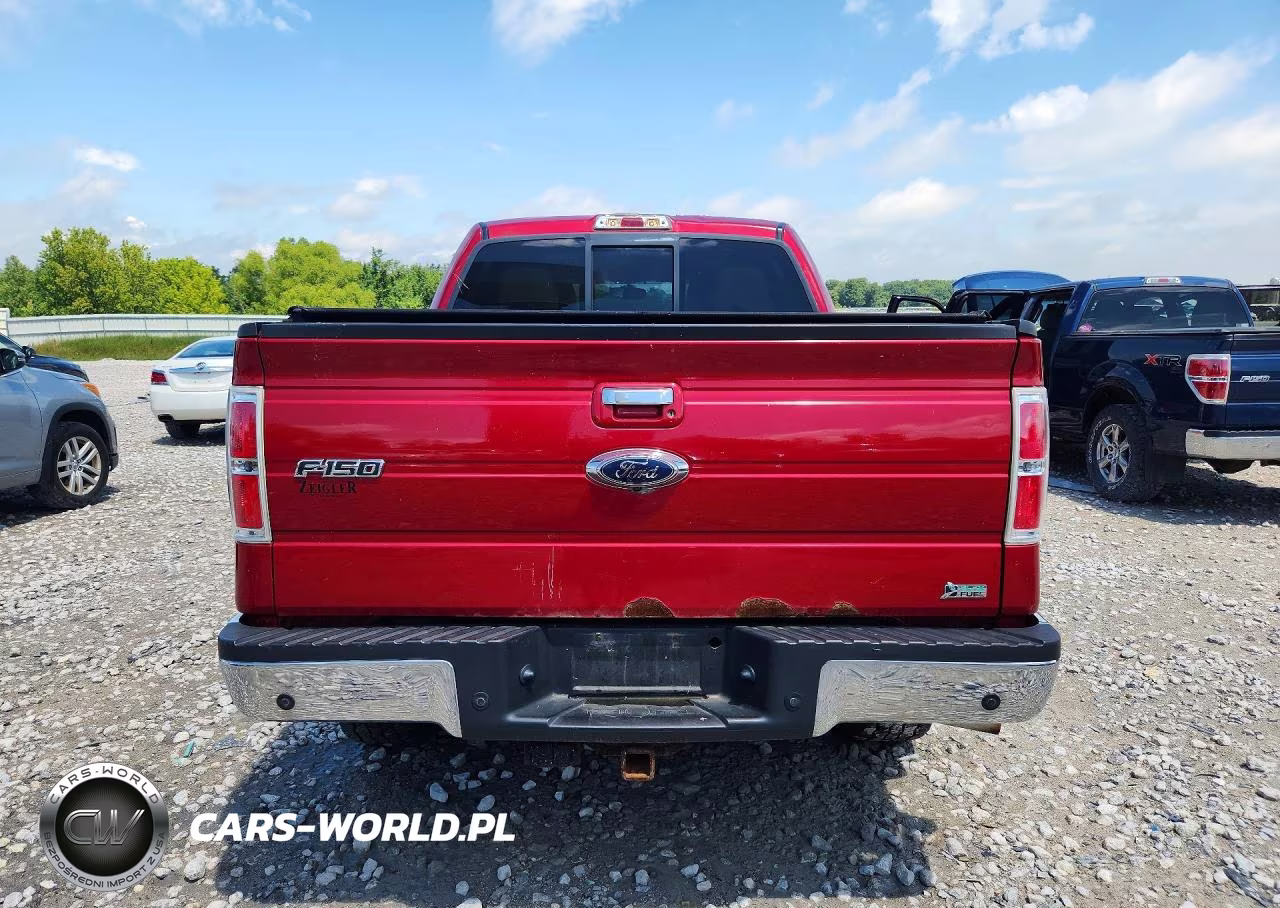 2010 Ford F150 Supercrew VIN:1FTFW1EV7AKE20413 - 6