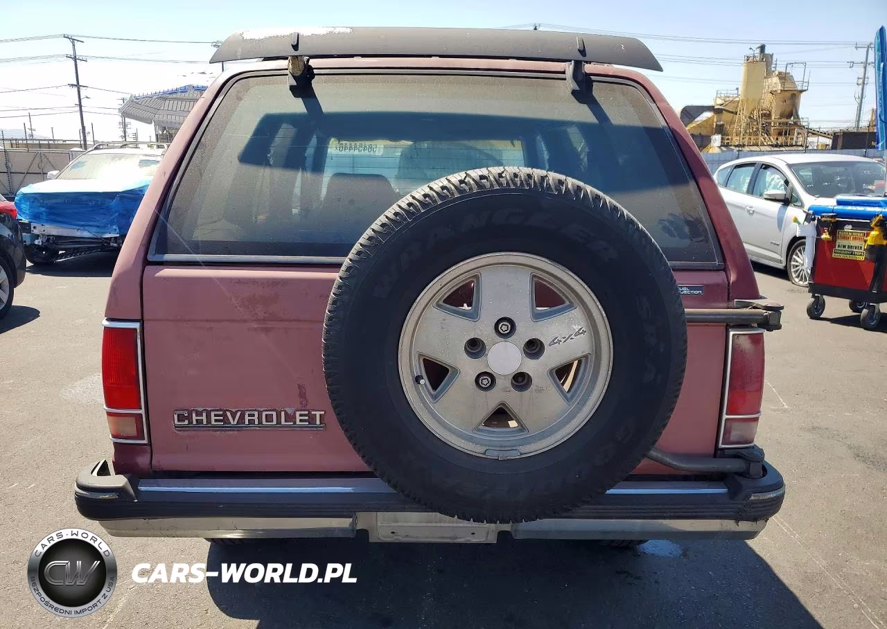 1991 Chevrolet Blazer S10 VIN:1GNDT13Z3M2196073 - 6