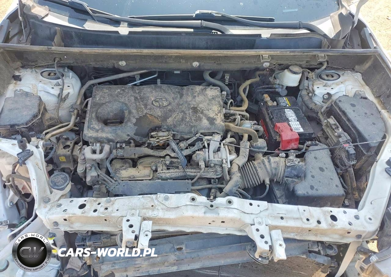 2019 Toyota Rav4 Xle VIN:2T3W1RFV9KW008336 - 11