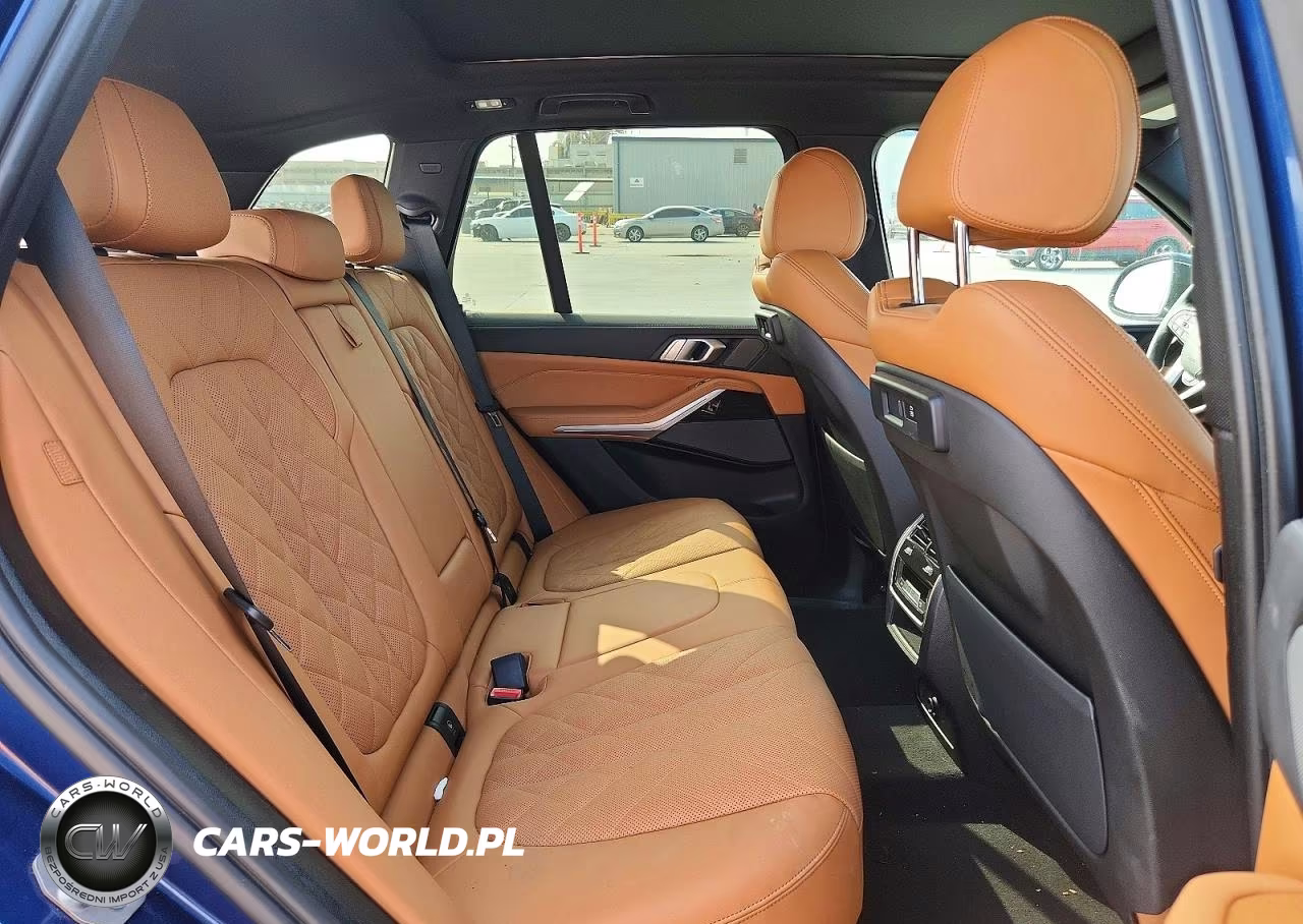 2023 BMW X5 Sdrive 40I VIN:5UXCR4C06P9P69824 - 10