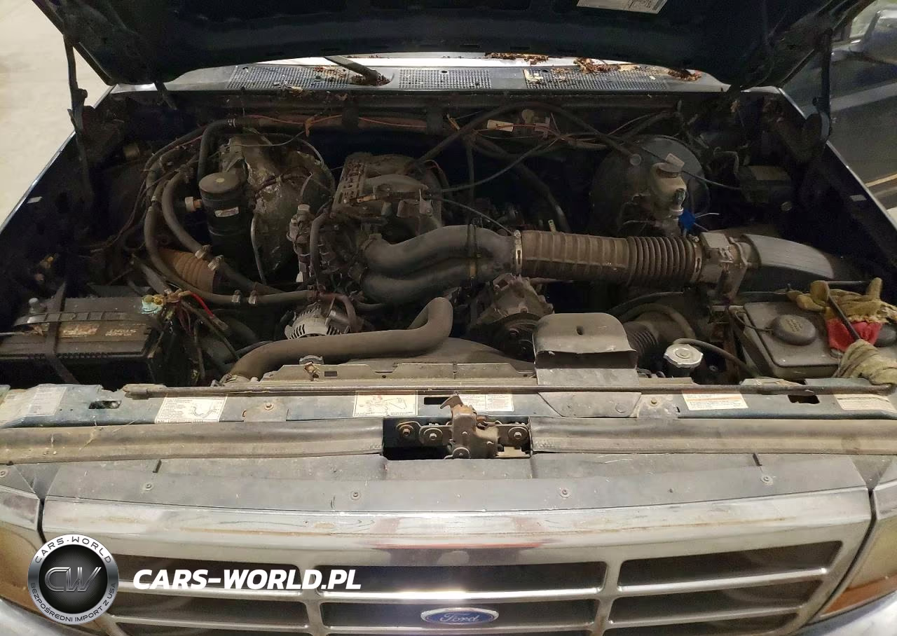 1995 Ford F150 VIN:1FTEF14NXSLB86857 - 11
