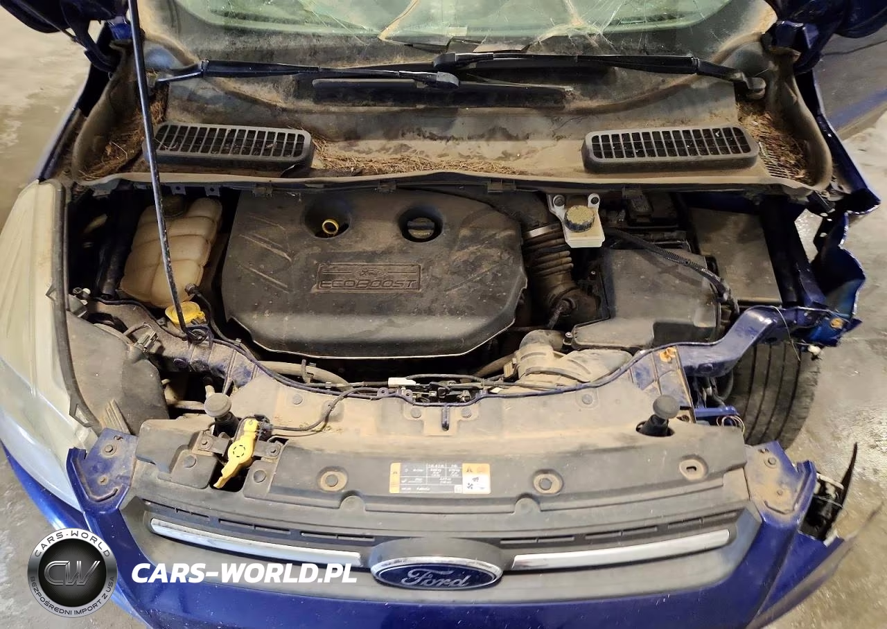 2014 Ford Escape Se VIN:1FMCU9G99EUA71638 - 12