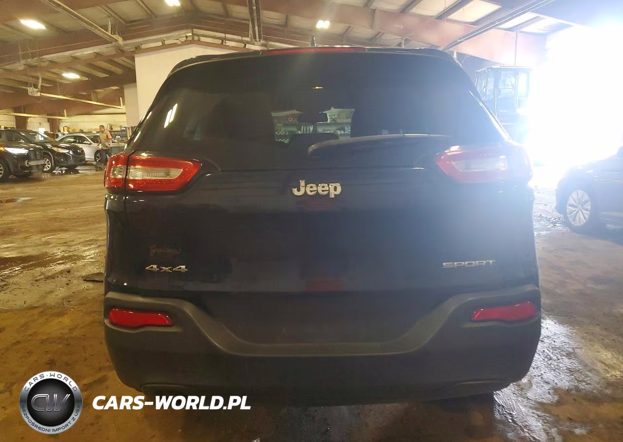 2016 Jeep Cherokee VIN:1C4PJMAB2GW266923 - 6