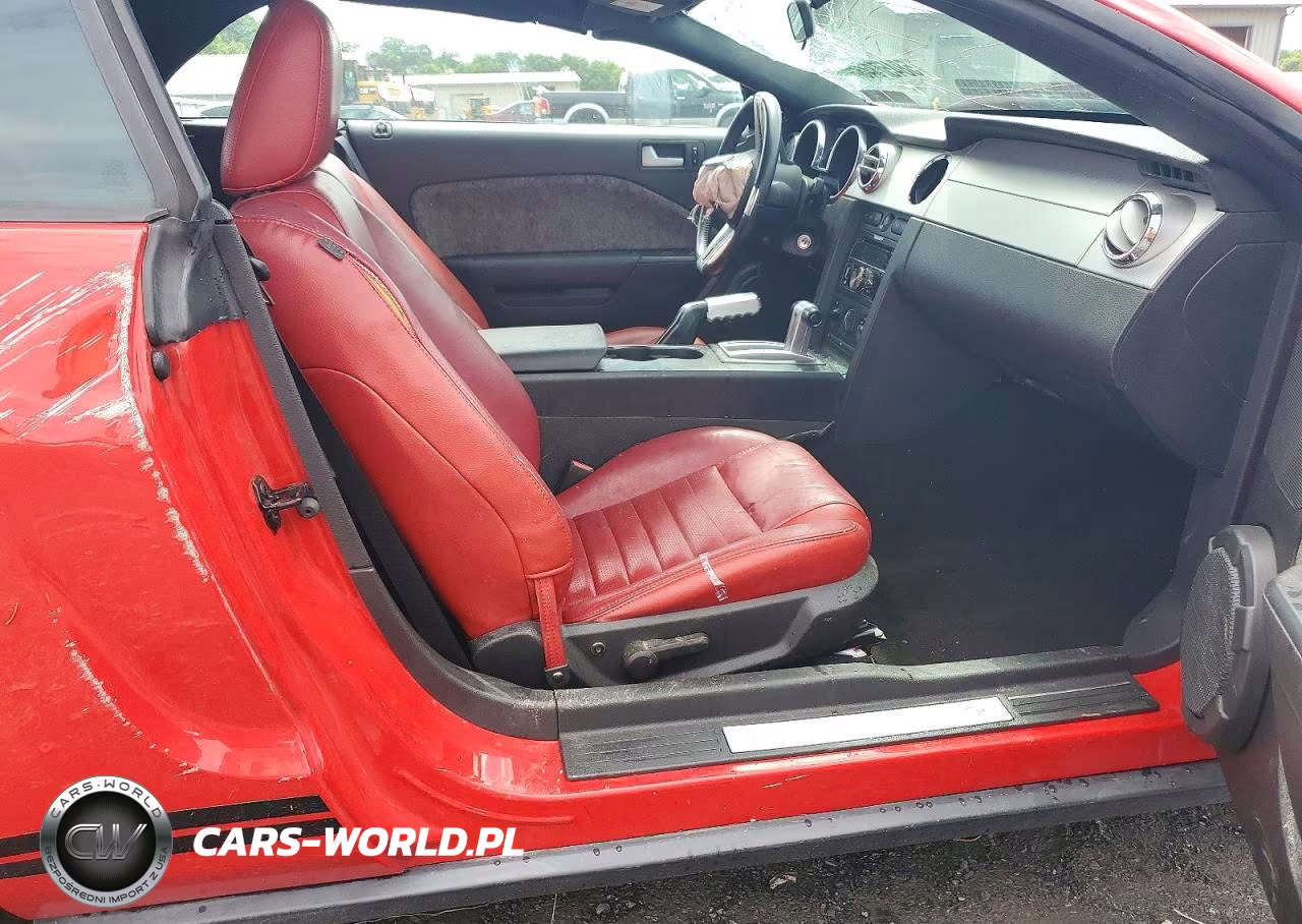 2006 Ford Mustang VIN:1ZVHT84NX65101232 - 10