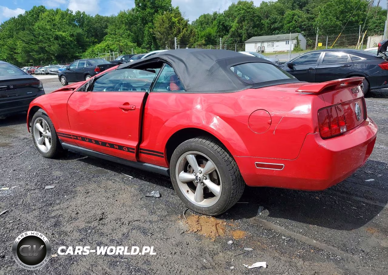 2006 Ford Mustang VIN:1ZVHT84NX65101232 - 2