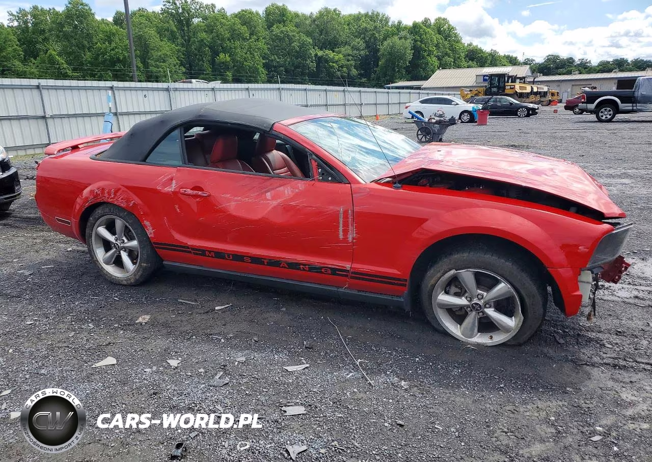 2006 Ford Mustang VIN:1ZVHT84NX65101232 - 4