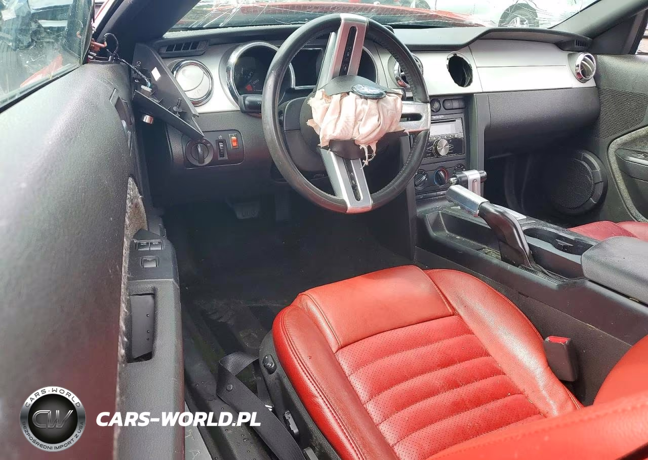 2006 Ford Mustang VIN:1ZVHT84NX65101232 - 8