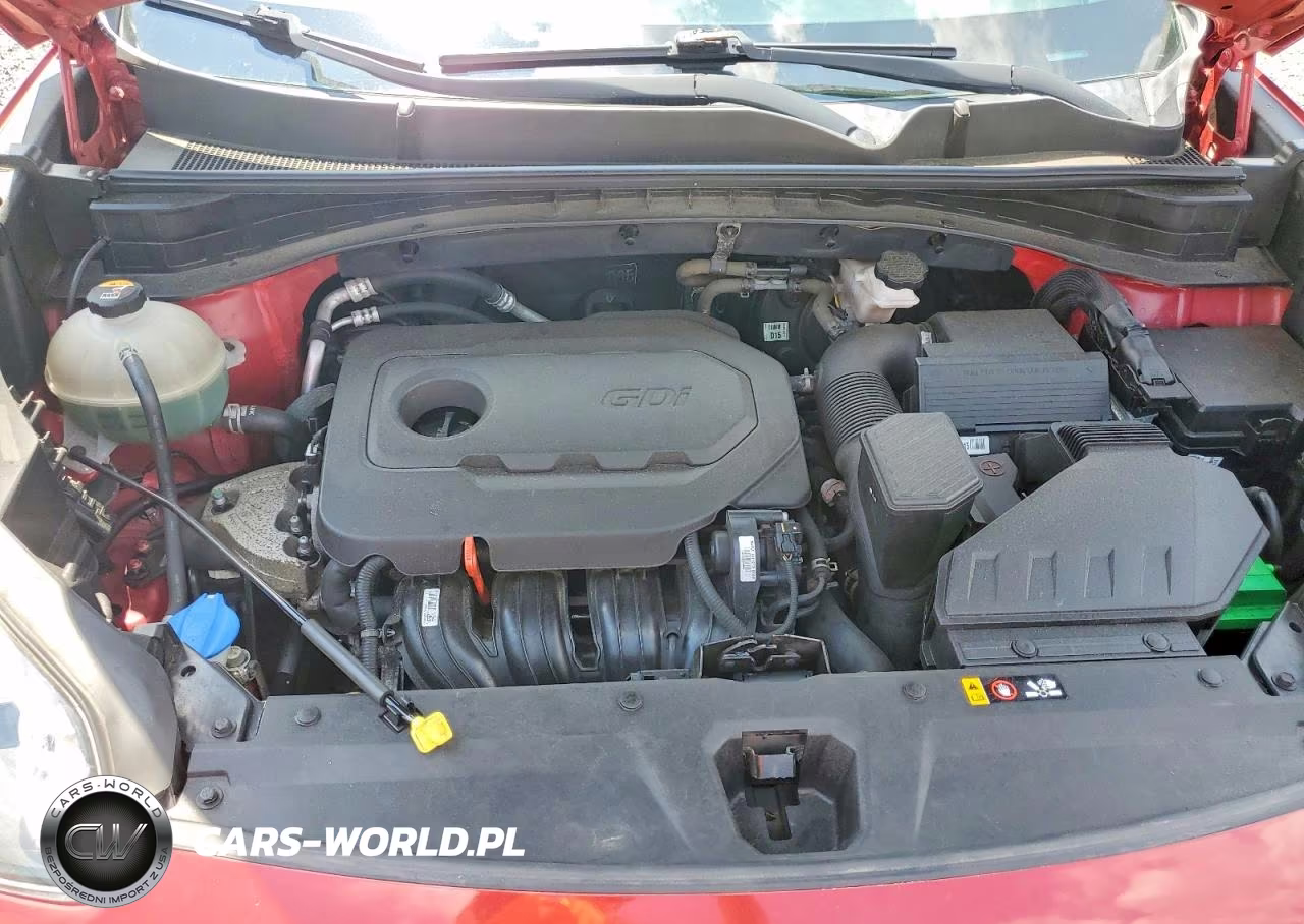 2017 Kia Sportage Lx VIN:KNDPMCAC4H7232861 - 12