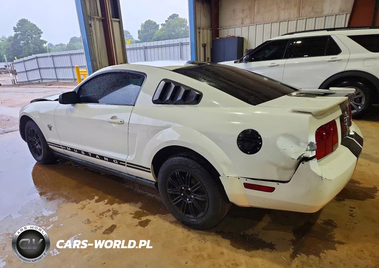 2009 Ford Mustang VIN:1ZVHT80N795110898 - 2