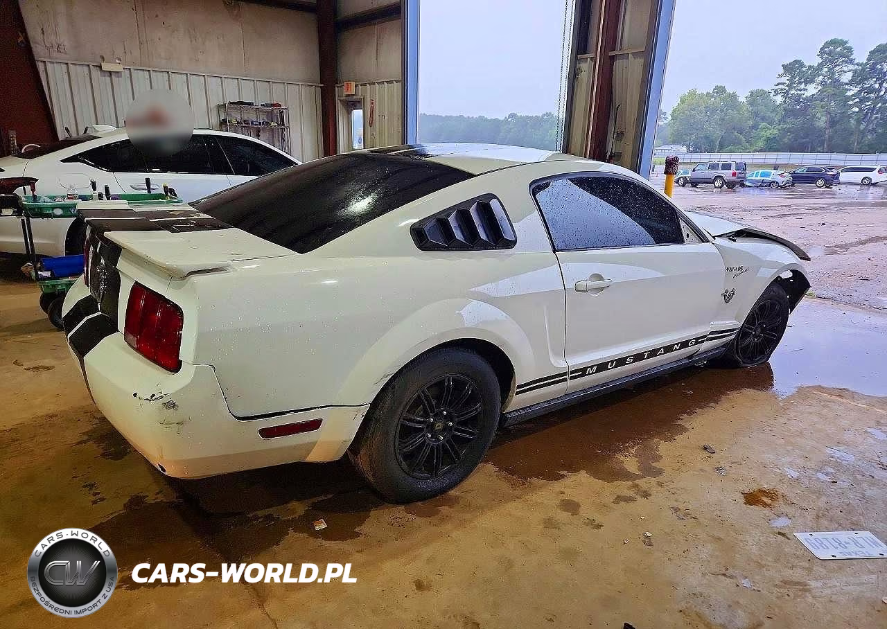2009 Ford Mustang VIN:1ZVHT80N795110898 - 3
