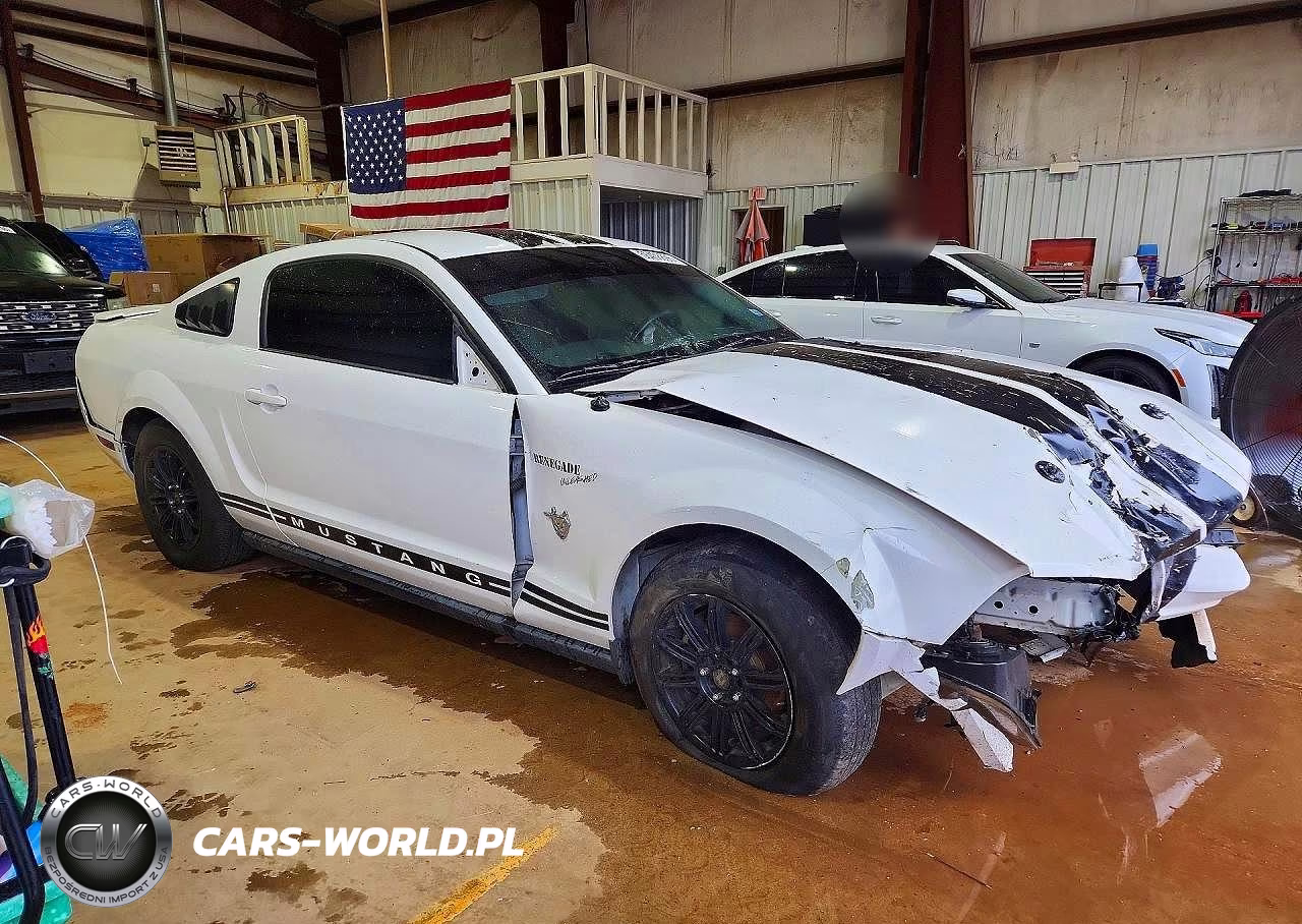 2009 Ford Mustang VIN:1ZVHT80N795110898 - 4