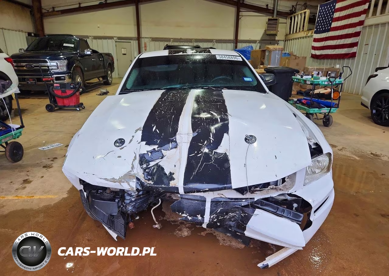 2009 Ford Mustang VIN:1ZVHT80N795110898 - 5