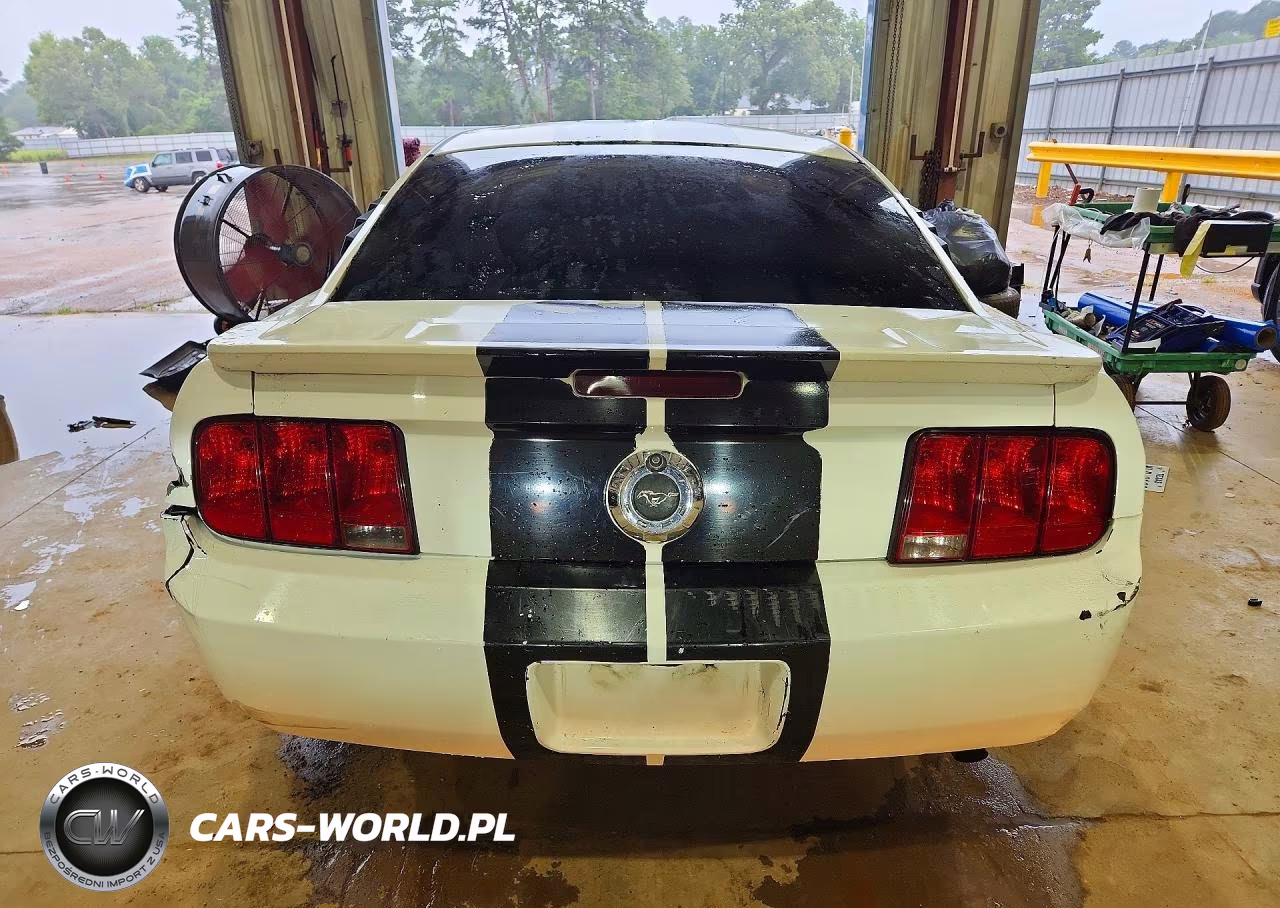 2009 Ford Mustang VIN:1ZVHT80N795110898 - 6