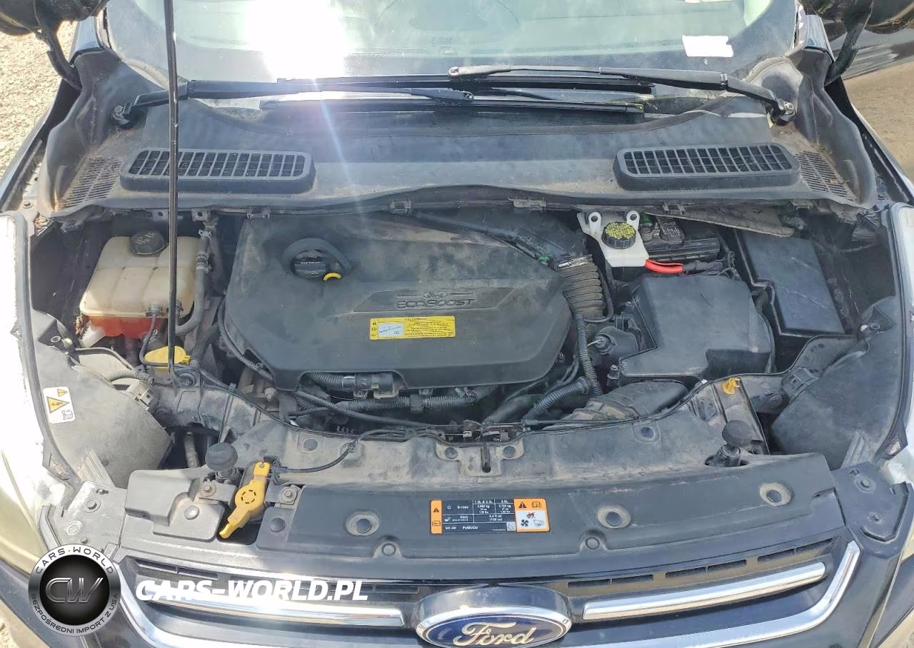 2014 Ford Escape Titanium VIN:1FMCU0JX5EUA52538 - 11