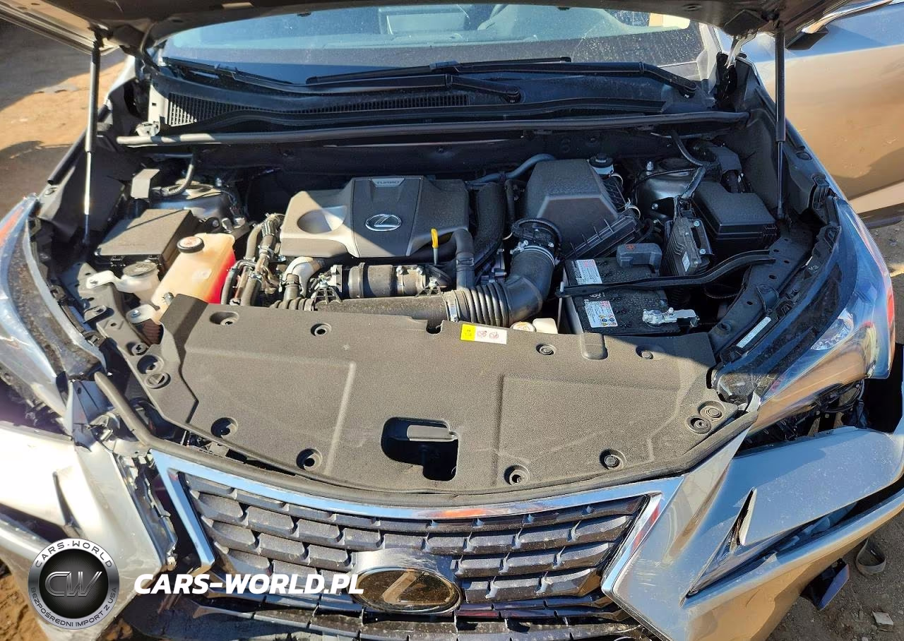 2019 Lexus Nx 300 Base VIN:JTJBARBZ9K2179388 - 11