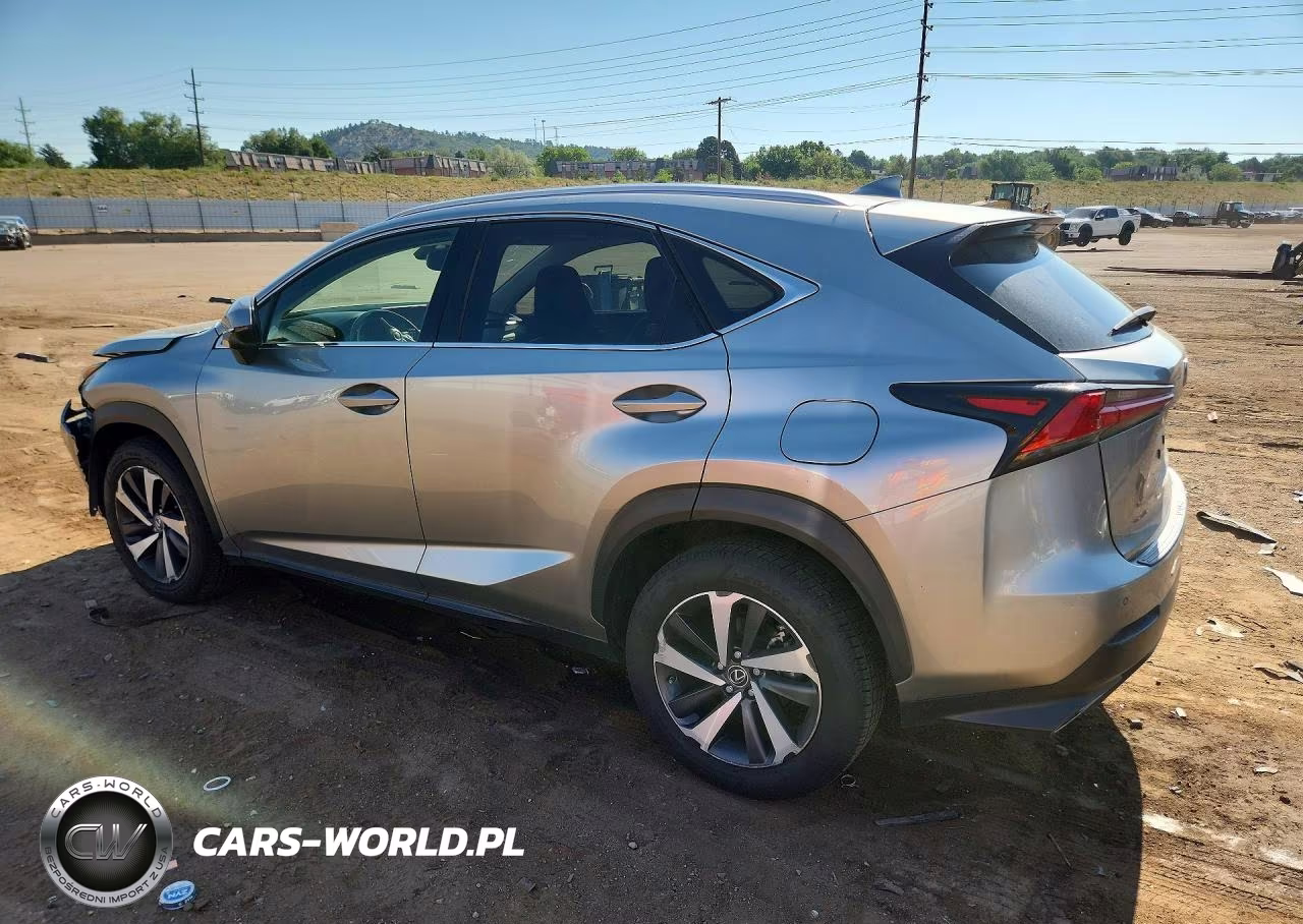 2019 Lexus Nx 300 Base VIN:JTJBARBZ9K2179388 - 2