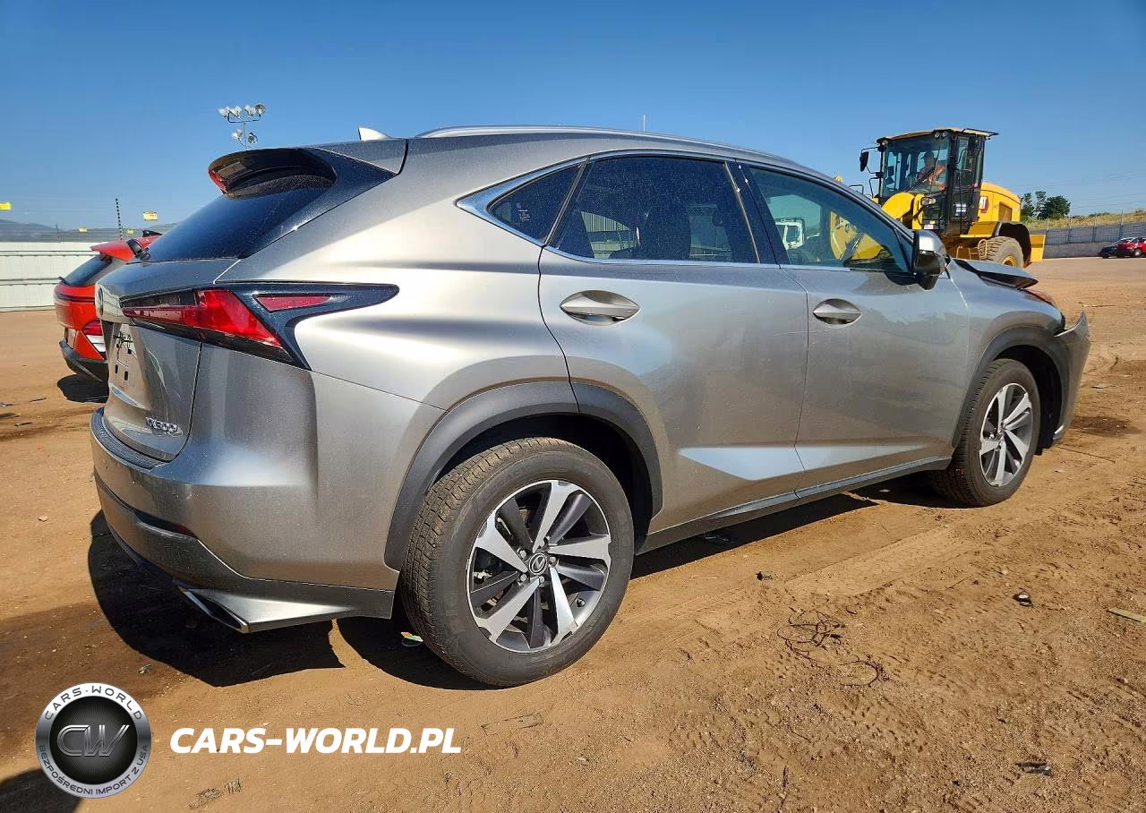 2019 Lexus Nx 300 Base VIN:JTJBARBZ9K2179388 - 3